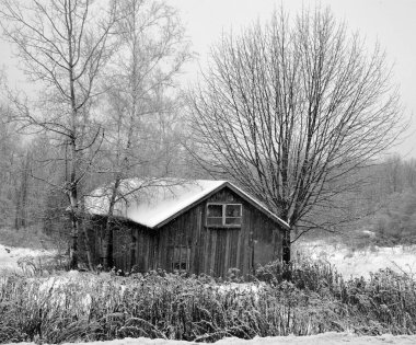 ormanda siyah beyaz ev