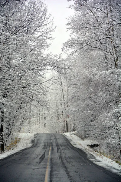 Vinterväg Skogen — Stockfoto