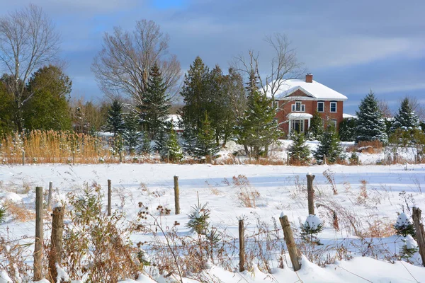 Paisaje Invernal Con Nieve Árboles — Foto de Stock