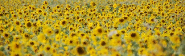 Background Yellow Field Close — Stock Photo, Image