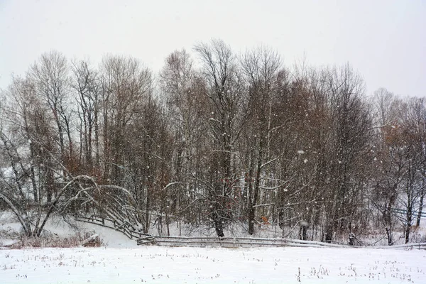 Fim Inverno Última Neve Está Chegando Mês Fevereiro Natureza Nas — Fotografia de Stock