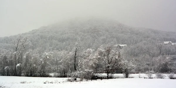 Inverno Nevado Paisagem Campo — Fotografia de Stock