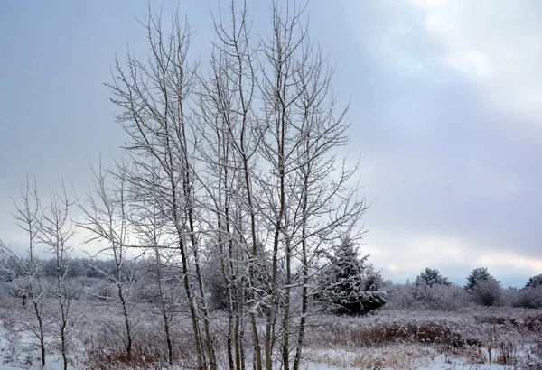 Snowy Landscape Winter Season — Stock Photo, Image