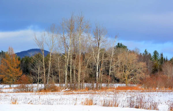 Hermoso Paisaje Invierno Día Nublado Nublado Rusia — Foto de Stock