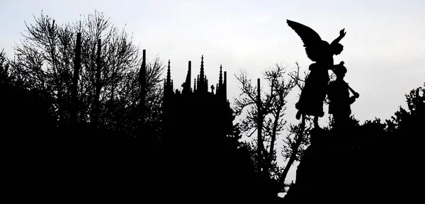 black silhouette of statue in the park