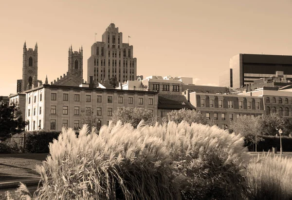 Vue Aérienne Montréal Canada — Photo