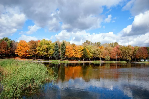 Schöner Herbstpark Montreal Kanada — Stockfoto