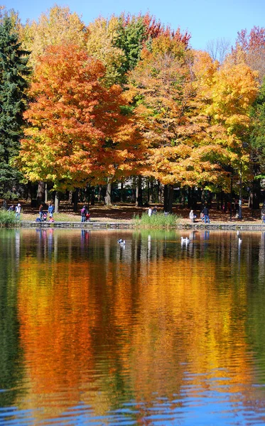 Schöner Herbstlicher Park Mit Bunten Bäumen — Stockfoto
