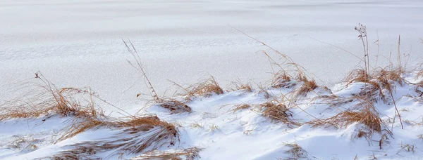 Paisagem Inverno Com Geada Neve — Fotografia de Stock