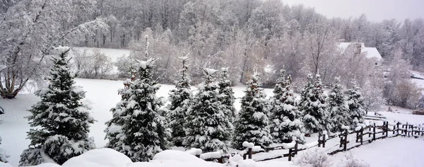 Schöner Schneebedeckter Wald Vor Blauem Himmel Mit Weißen Wolken — Stockfoto