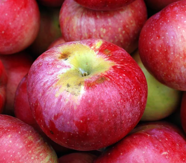 Rote Äpfel Hintergrund Reife Bio Äpfel Auf Dem Markt Erntekonzept — Stockfoto