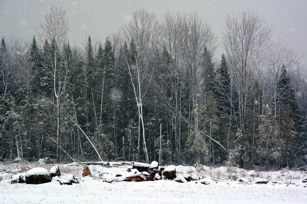 Śnieżny Krajobraz Sezonie Zimowym — Zdjęcie stockowe