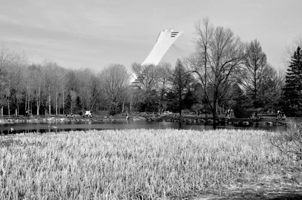 Montreal Kanada März Das Olympiastadion Und Der Turm Von Montreal — Stockfoto