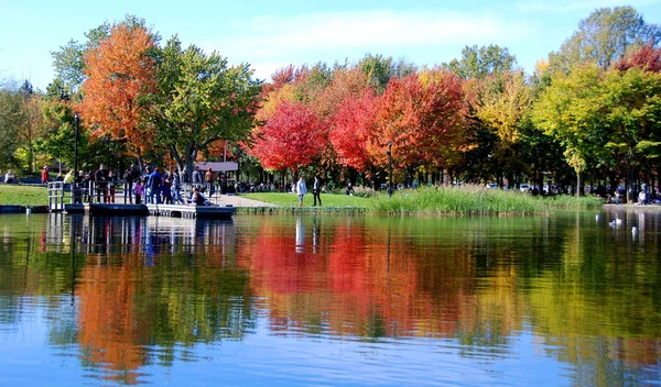 Été Indien Dans Parc Automne Dernier Sourire Automne — Photo