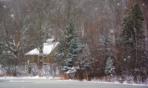 Winterschneewald Schnee Liegt Auf Den Ästen Der Bäume Frostiges Schneereiches — Stockfoto