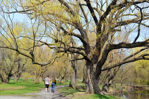 Ung Kvinna Promenader Parken — Stockfoto