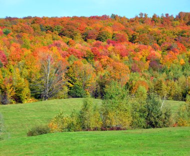 Güzel utumn dağı manzarası