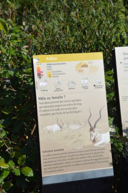 Hayvanat bahçesindeki hayvanlar hakkında bilgi panosu