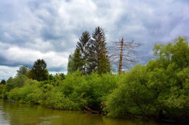 Nehir ve ormanın sonbahar manzarası