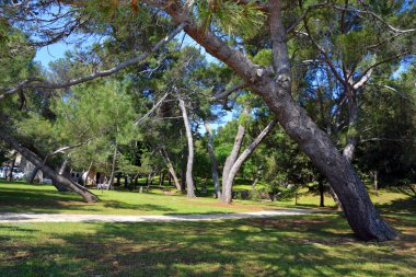 Montevideo, Uruguay 'a park et.