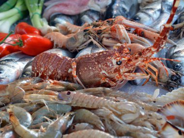 Pazarda taze deniz ürünleri