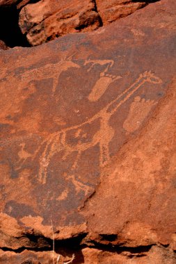 TWYFELFONTEIN NAMIBIA 10 09 2014: Namibya 'nın kuzeybatısındaki Kunene Bölgesi' nde antik kaya oymalarının yer aldığı bir site. UNESCO Dünya Mirası Alanı