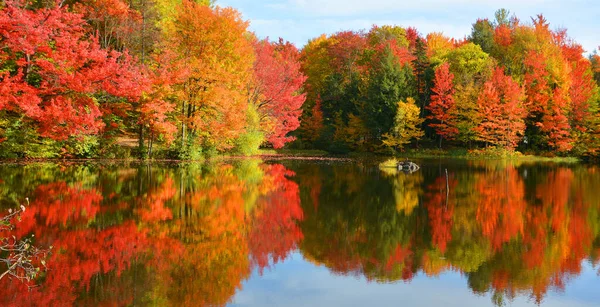 Prachtig Herfstlandschap Met Meer Kleurrijke Bomen — Stockfoto