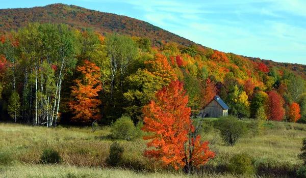 Prachtig Berglandschap Herfst Met Kleurrijke Bomen — Stockfoto