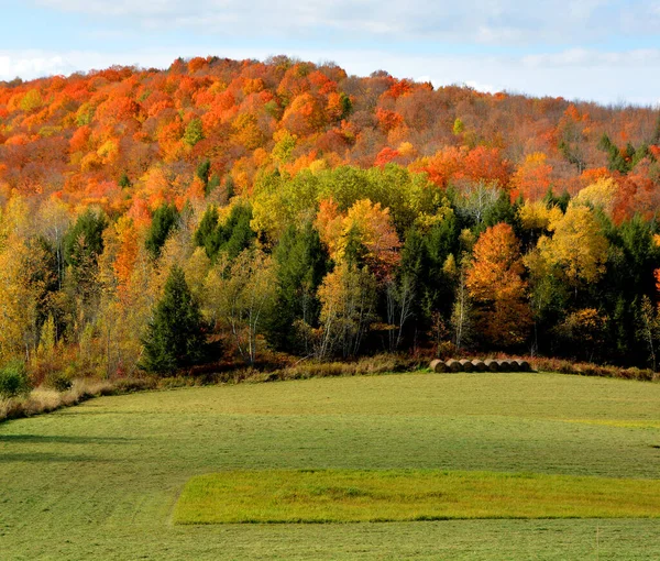 Hermoso Paisaje Montaña Otoño Con Árboles Coloridos — Foto de Stock