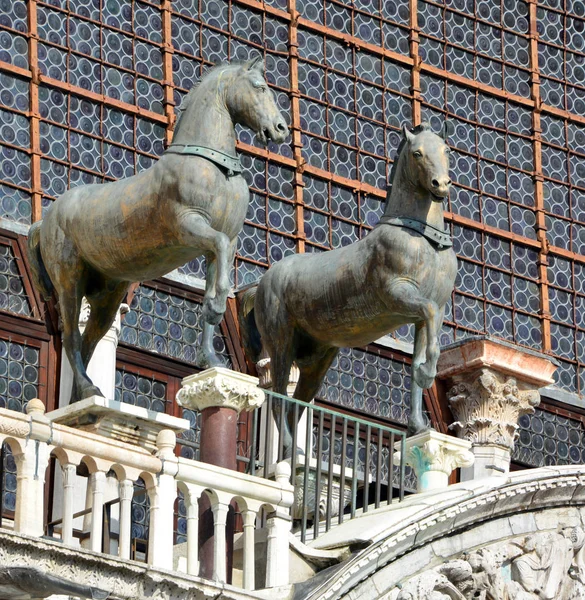 Paard Stad Rome Italië — Stockfoto