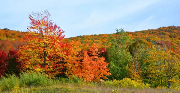 Hermoso Paisaje Montaña Otoño Con Árboles Coloridos —  Fotos de Stock