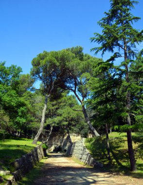 Yazın parkın manzarası