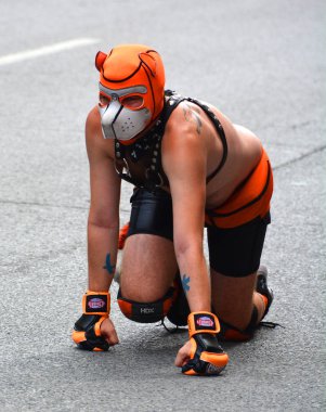 Montreal QuEBEC CANADA 08: 19 19: 18: Montreal Onur Kutlamaları için Toplum Günü. Bu etkinliğin içermesi, eğitmesi ve eğlendirmesi...