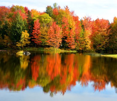 Gölü ve renkli ağaçlarıyla güzel sonbahar manzarası 