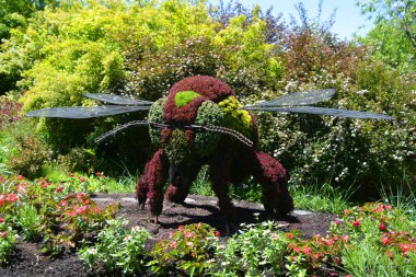 Bahçedeki genç bir kadın.