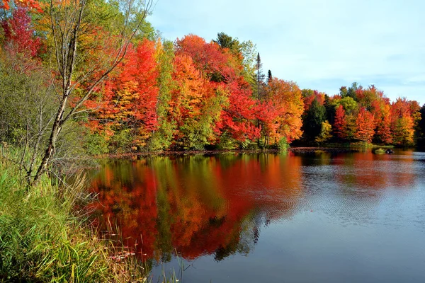 Bela Paisagem Outono Com Lago Árvores Coloridas — Fotografia de Stock