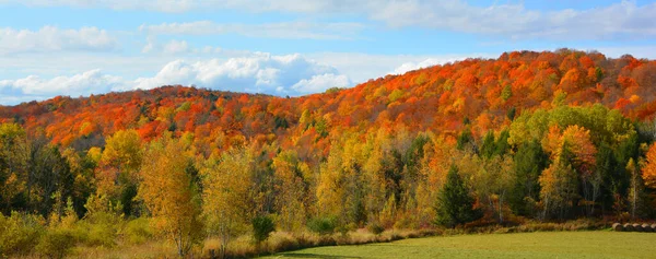 Sonbaharda Renkli Ağaçlarla Güzel Dağ Manzarası — Stok fotoğraf