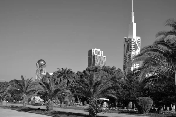 Uae Dubai的谢赫清真寺 — 图库照片