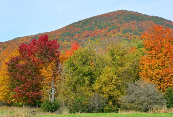 Prachtig Berglandschap Herfst — Stockfoto
