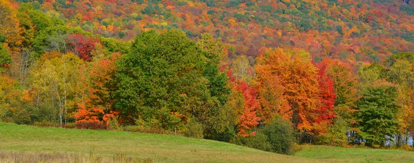 Όμορφο Ορεινό Τοπίο Φθινόπωρο Πολύχρωμα Δέντρα — Φωτογραφία Αρχείου