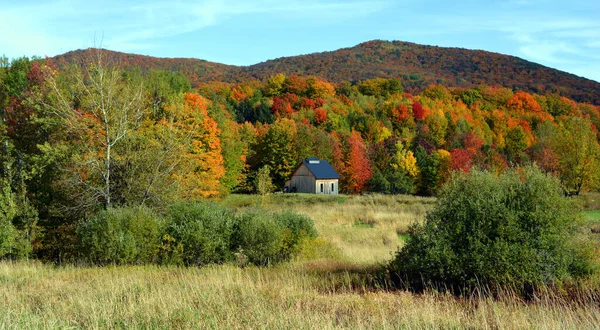 Hermoso Paisaje Montaña Otoño Con Árboles Coloridos — Foto de Stock