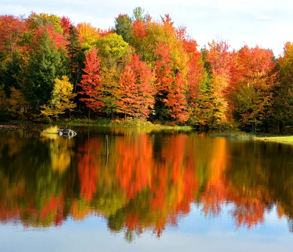 Prachtig Herfstlandschap Met Meer Kleurrijke Bomen — Stockfoto