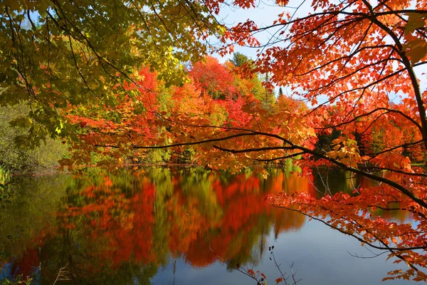 Beau Paysage Automne Avec Lac Arbres Colorés — Photo