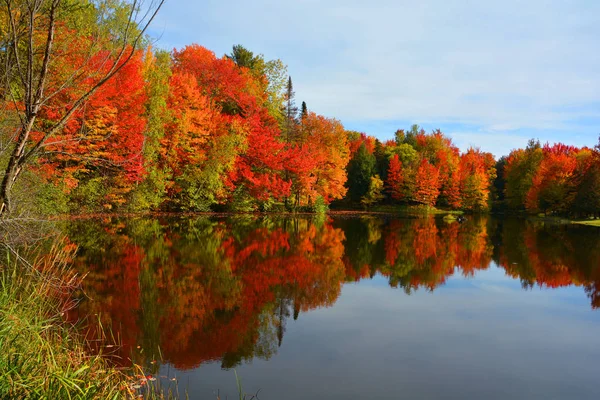 Hermoso Paisaje Otoño Con Lago Árboles Coloridos —  Fotos de Stock