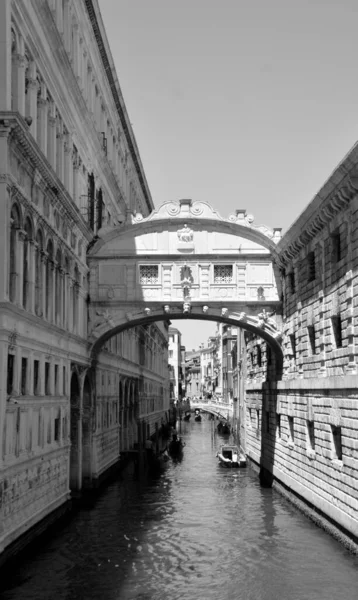 Оленя Чорно Біле Зображення Великого Каналу Базиліки Санта Марія Делла — стокове фото