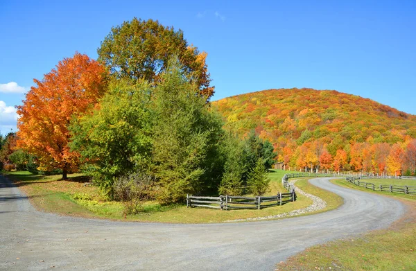 Prachtig Berglandschap Herfst Met Kleurrijke Bomen — Stockfoto