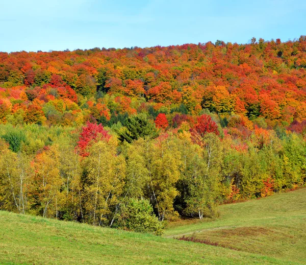 Prachtig Berglandschap Herfst — Stockfoto