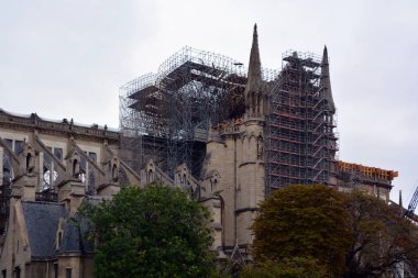 Günbatımında Notre Dame de Paris Katedrali - Cite Adası 'nın doğu yarısındaki en ünlü Gotik, Roma Katolik katedrali (1163 - 1345). 