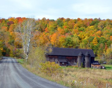 Sonbahar mevsiminde çiftlik ve dağ manzarası