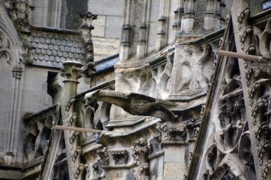 Günbatımında Notre Dame de Paris Katedrali - Cite Adası 'nın doğu yarısındaki en ünlü Gotik, Roma Katolik katedrali (1163 - 1345). 